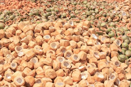 Pile of discarded coconut husk in coconut farm Thailandの写真素材