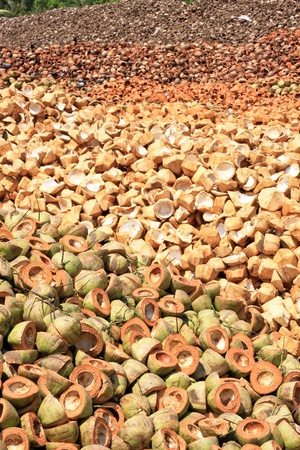 Pile of discarded coconut husk in coconut farm Thailandの写真素材