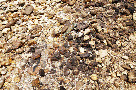 Crude oil spill on the rocks at the beachの写真素材