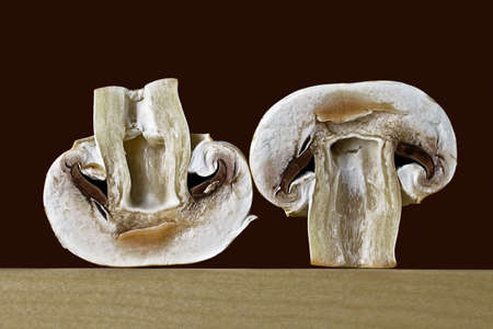 Champignons in a cutの写真素材