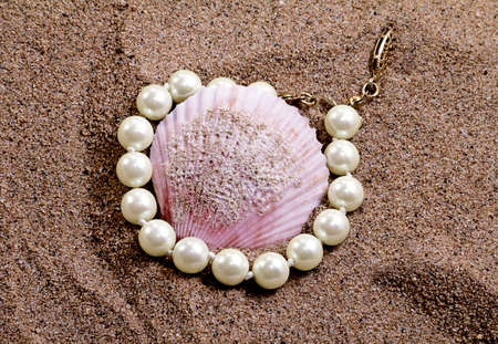 cockleshell and pearls on the beachの写真素材