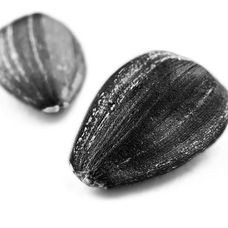 Sunflower seeds macro