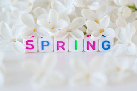 The word spring surrounding  flowersの写真素材