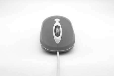 An isolated orange mouseの写真素材