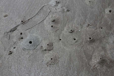 Many holes of crab at Chaam beachの写真素材