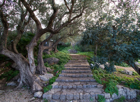 A stone stairway in palma de mallorca