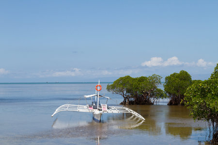 Outrigger Boat Anchored in Shallows of Mangrove Vegetation on Sunny Day at Poblacion Beach, Panglao,...