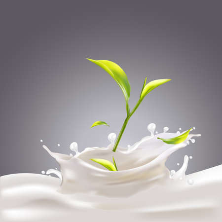 Milk, Yogurt Splashing Vector Conceptのイラスト素材