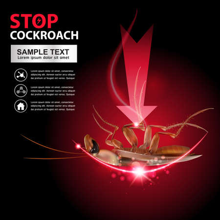 Stop Cockroach Vectorのイラスト素材