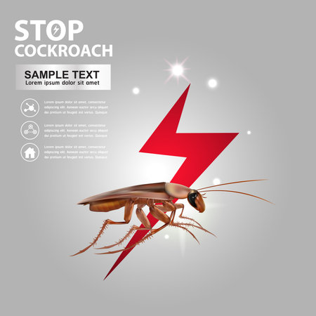 Stop Cockroach Vectorのイラスト素材