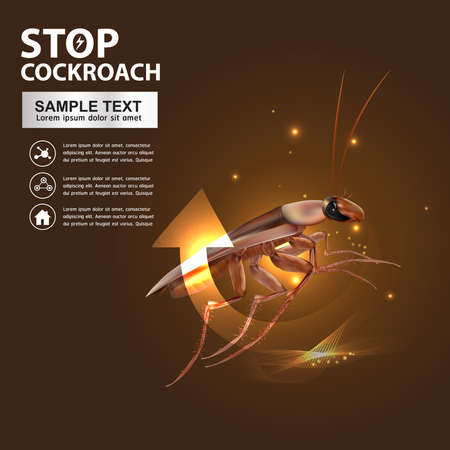 Stop Cockroach Vectorのイラスト素材