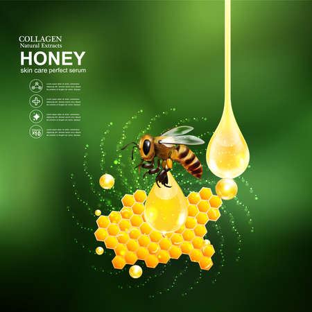Honey Serum and Collagen Vectorのイラスト素材