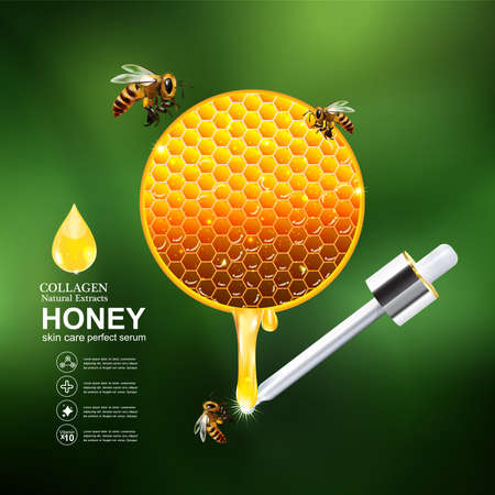 Honey Serum and Collagen Vectorのイラスト素材