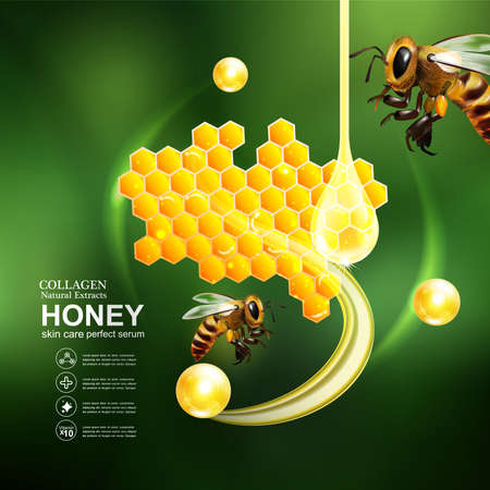 Honey Serum and Collagen Vectorのイラスト素材