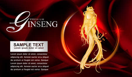 Ginseng Vectorのイラスト素材