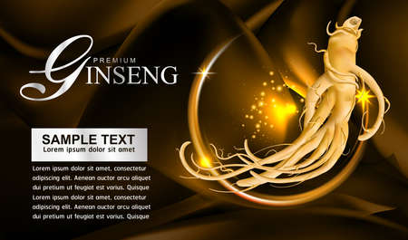 Ginseng Vectorのイラスト素材