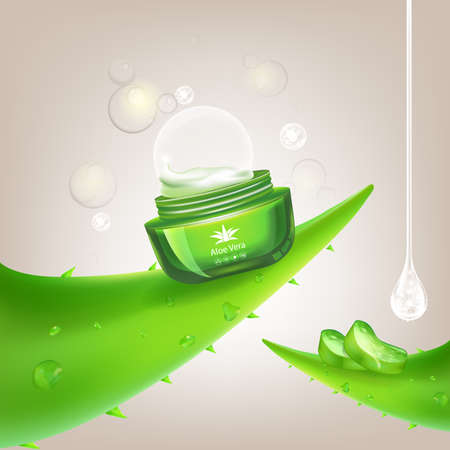 Aloe Vera,Aloe Vera,Aloe Vera,Aloe Vera,Aloe Vera,Aloe Vera,Aloe Vera,Aloe Vera,Aloe Vera,Aloe Vera,Aloe Vera,Aloe Vera,Aloe Vera,Aloe Vera,Aloe Vera,Aloe Vera,Aloe Vera,Aloe Vera,Aloe Vera,Aloe Vera,Aloe Vera,Aloe Vera,Aloe Vera,Aloe Vera,Aloe Vera,Aloe のイラスト素材