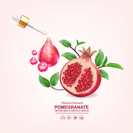 Pomegranate Serum Collagen and Vitamin for Skin Concept vector illustration.のイラスト素材