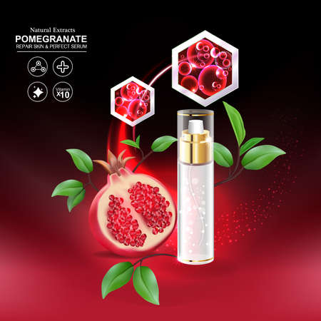 Pomegranate Serum Collagen and Vitamin for Skin Concept vector illustration.のイラスト素材