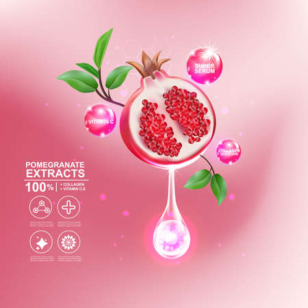 Pomegranate Serum Collagen and Vitamin for Skin Concept vector illustration.のイラスト素材