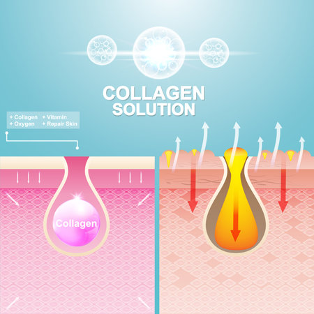 Protection Skin and Repairing or Collagen Serum and Vitamin Repair Skin.のイラスト素材