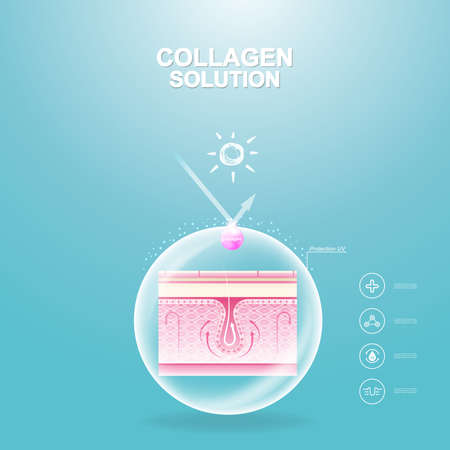 Collagen Serum and Vitamin Repair Skin.のイラスト素材