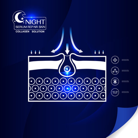 Collagen Serum and Vitamin Repair Skin.のイラスト素材