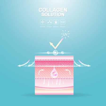Collagen Serum and Vitamin Repair Skin.のイラスト素材
