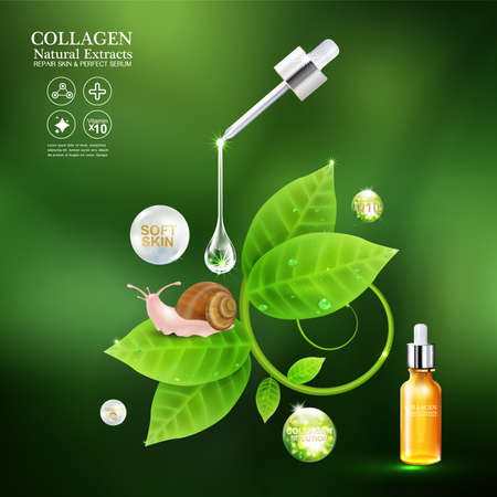 Collagen or Serum snail cosmetic packaging design Vectorのイラスト素材