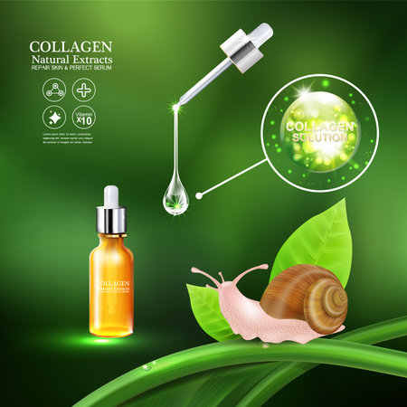 ?Collagen or Serum snail cosmetic packaging design Vectorのイラスト素材