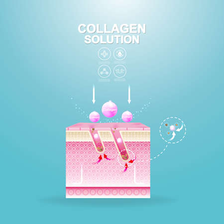 Collagen Solution Serum Drop and Vitamin Background Skin Care Cosmetic concept.のイラスト素材