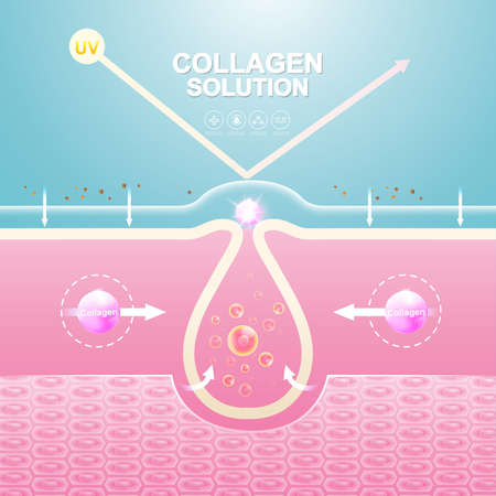 Collagen Solution Serum Drop and Vitamin Background Skin Care Cosmetic concept.のイラスト素材