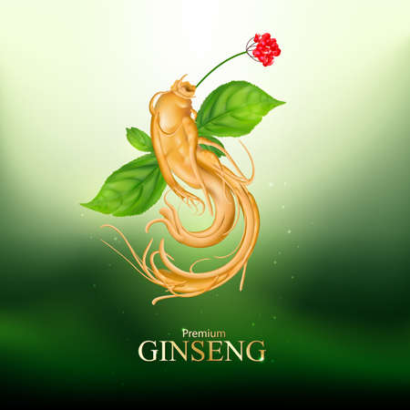 Ginseng Premium Vectorのイラスト素材