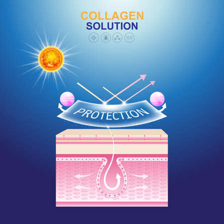 Collagen Solution Serum and Vitamin Background Skin Care Cosmetic Vector concept.のイラスト素材