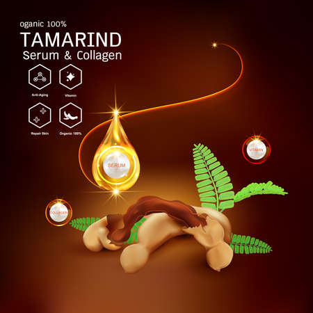 Tamarind Serum or Collagen and Vector Background Concept for Skin Care Cosmetic Products.のイラスト素材