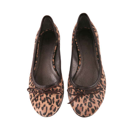 Female flat ballet shoes with leopard pattern isolated on whiteの写真素材