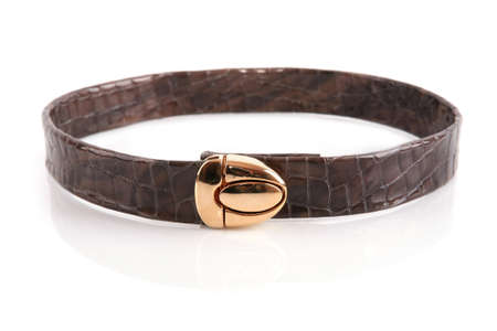 Female elegant leather belt isolated on whiteの写真素材