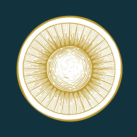 Sun. Sun vintage style hand drawn illustration. Sketch drawing soon badge and logo.のイラスト素材
