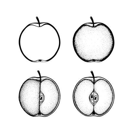Apple Hand drawn apples vector illustrations set.のイラスト素材