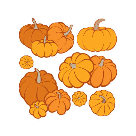 Pumpkin. Pumpkins hand drawn vector illustrations set. Pumpkin sketch drawing.のイラスト素材