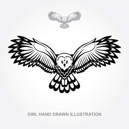 Owl. Flaying owl hand drawn vector illustration. Owl attack sketch drawing. Part of set.のイラスト素材