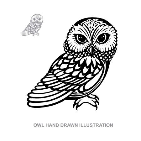 Owl. Owl hand drawn vector illustration. Owl sketch drawing. Part of set.のイラスト素材