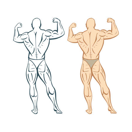 Strong man. Strong bodybuilder hand drawn vector illustration. Muscular man. Part of set.のイラスト素材
