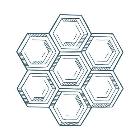 Honeycomb cells. Honeycomb hand drawn vector illustration. Honeycomb logo and design element. Part of set.のイラスト素材