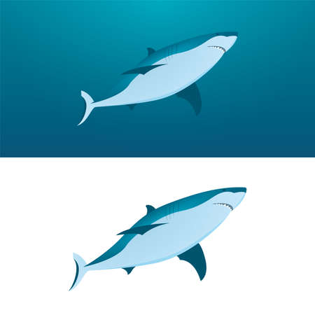 Shark. Sharks vector illustrations set. Cartoon style sharks drawing. Part of set.のイラスト素材