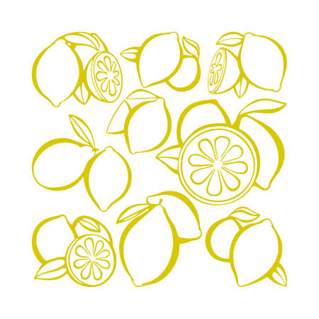 Lemon. Citrus collection. Hand drawn lemons vector illustrations set. Part of set.のイラスト素材