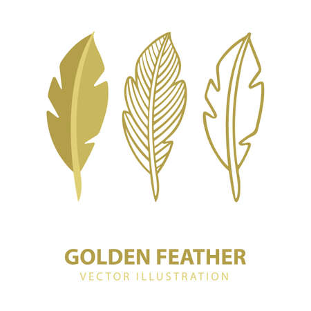Feather. Isolated Nib with rays. Majestic feather illustrations. Creative authors concept. Feather vector icon isolated on white background.のイラスト素材