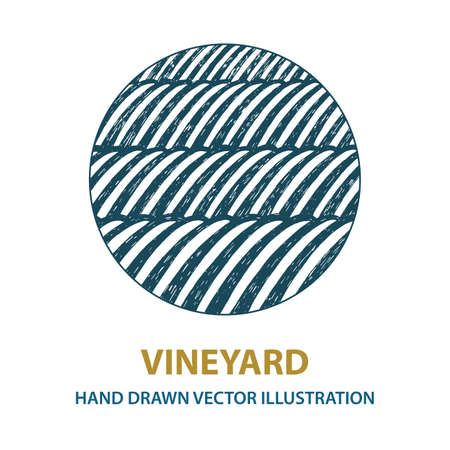 Vineyard. Sunny valley hand drawn illustration. Nature and meadows. Vineyard woodcut style sketch drawing. Landscape abstract background.のイラスト素材