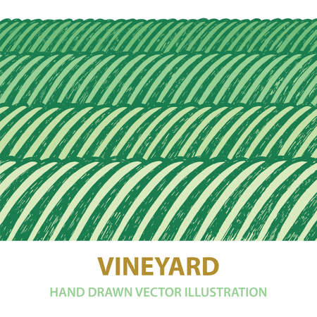 Green valley. Vineyard and sunny valley hand drawn illustration. Nature and meadows. Vineyard woodcut style sketch drawing. Landscape abstract background.のイラスト素材