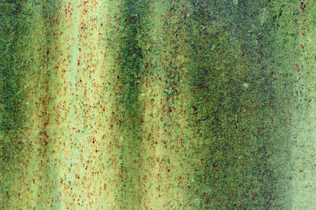 Green rusty metal texture. Vintage effect.の写真素材